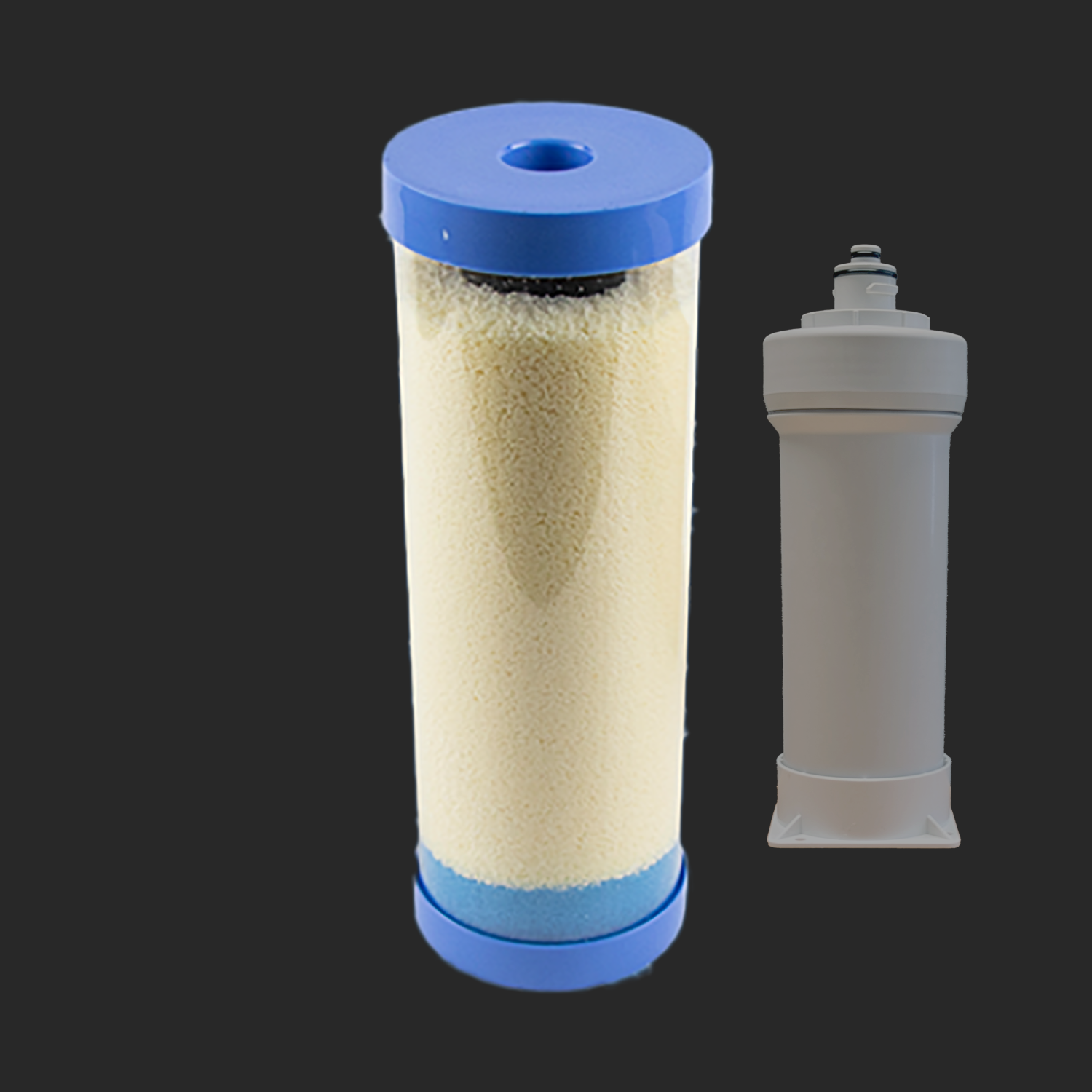 Two cylindrical water filter cartridges, one with a blue top and filled with granular material, the other plain white plastic.
